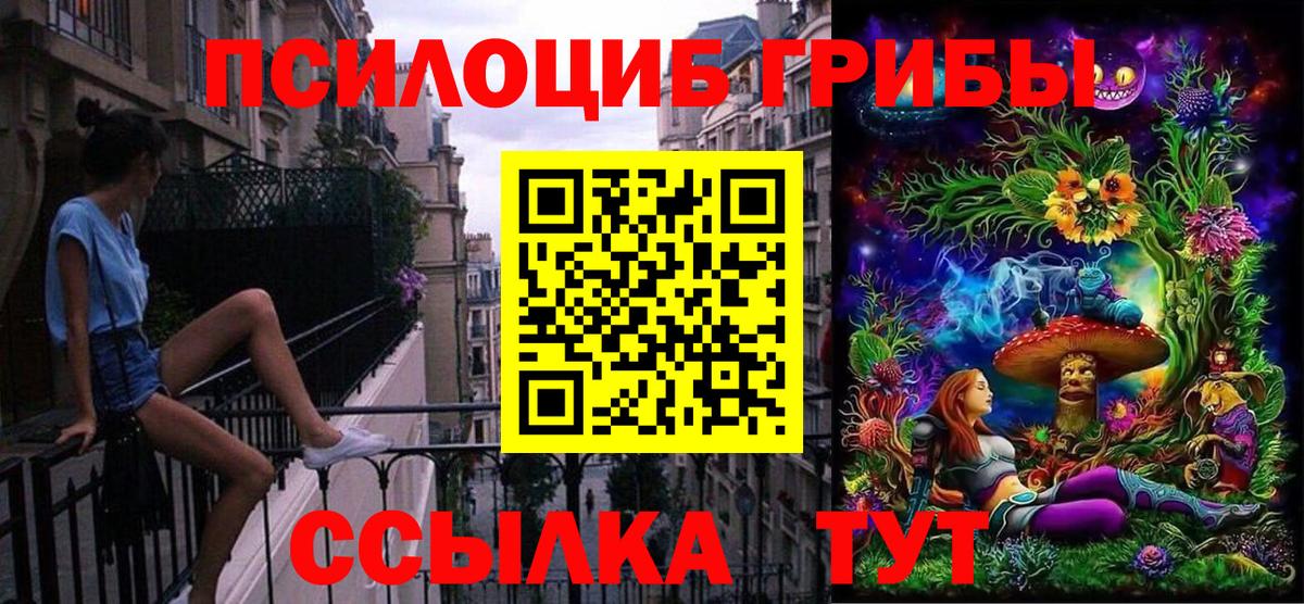 Карабулак  Псилоцибиновые грибы мухоморы  Вход с VPN 