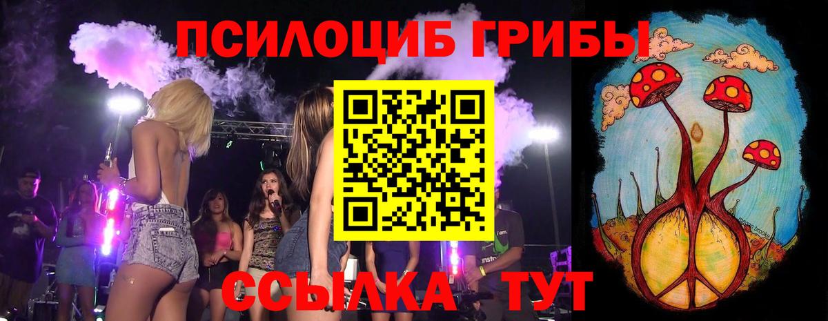 Галлюциногенные грибы Cubensis Карабулак
